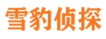 墉桥市私家侦探